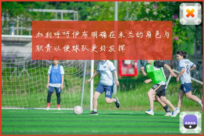 加利呼吁伊布明确在米兰的角色与职责以便球队更好发挥