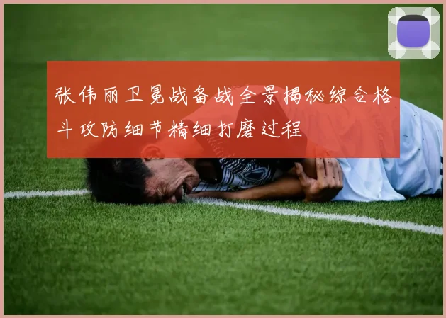 张伟丽卫冕战备战全景揭秘综合格斗攻防细节精细打磨过程